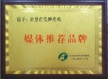 媒體推薦品牌